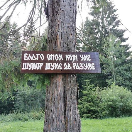 Apartman Bugar Mitrovac Bagian luar foto