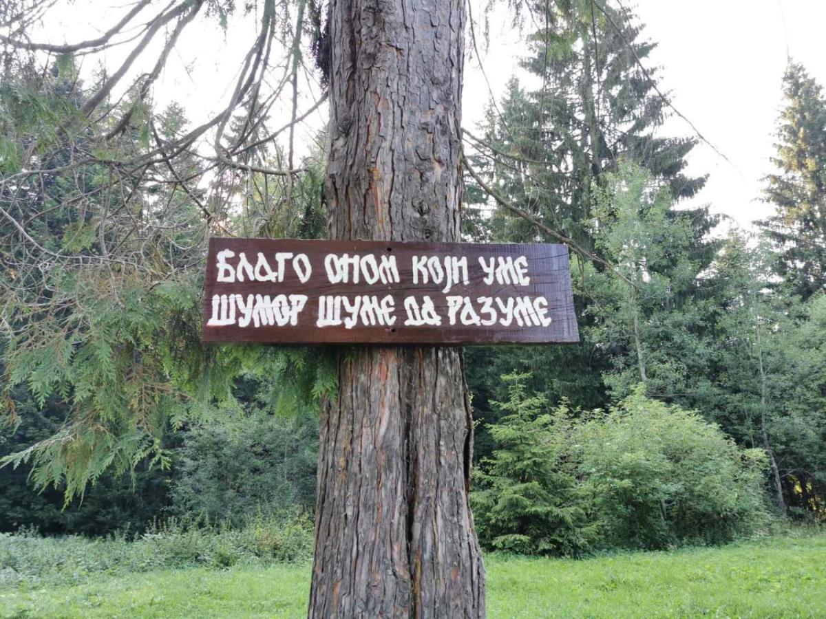 Apartman Bugar Mitrovac Bagian luar foto