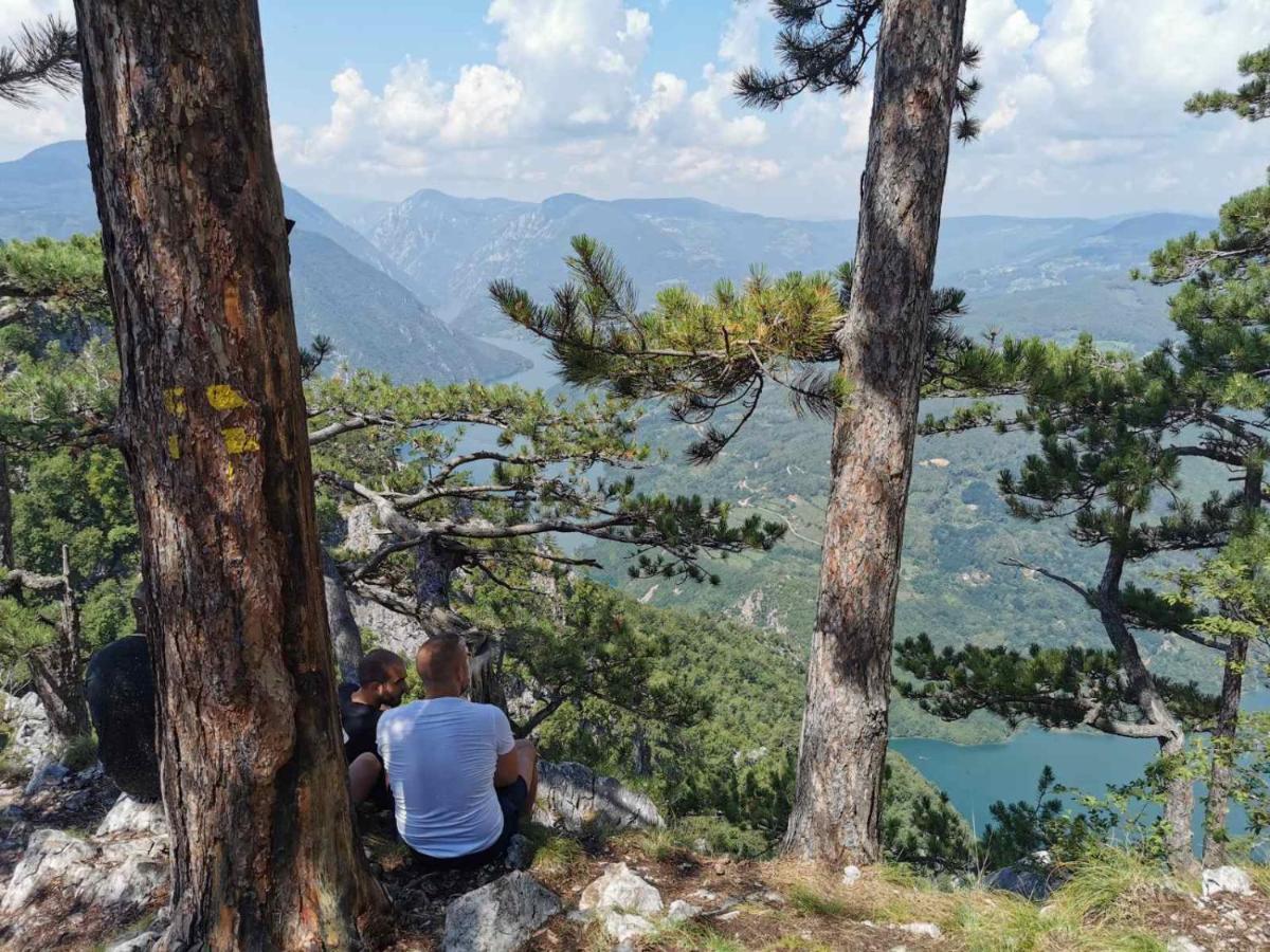 Apartman Bugar Mitrovac Bagian luar foto