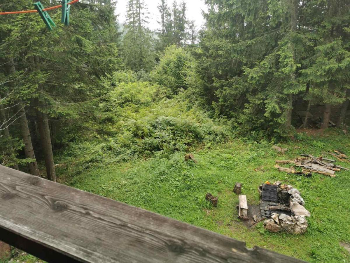 Apartman Bugar Mitrovac Bagian luar foto